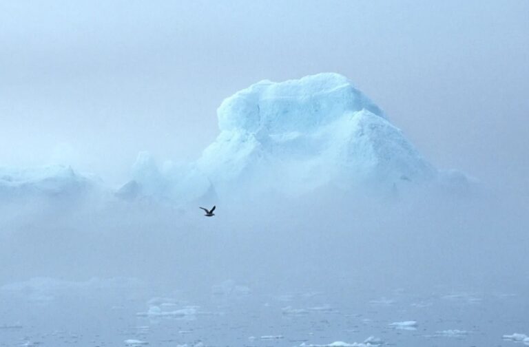 Ciclonul Arctic va părăsi complet teritoriul Moldovei marți seara
