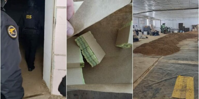 Сеть нелегальных табачных фабрик в Молдове растёт