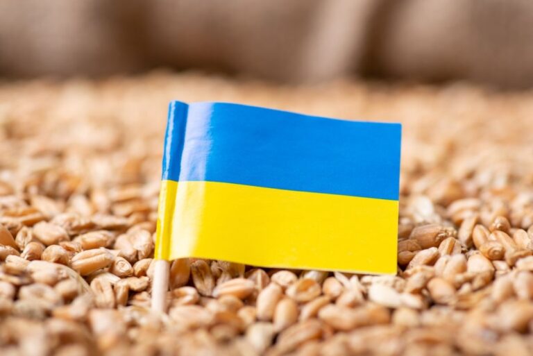 ЕС может полностью запретить ввоз украинского зерна