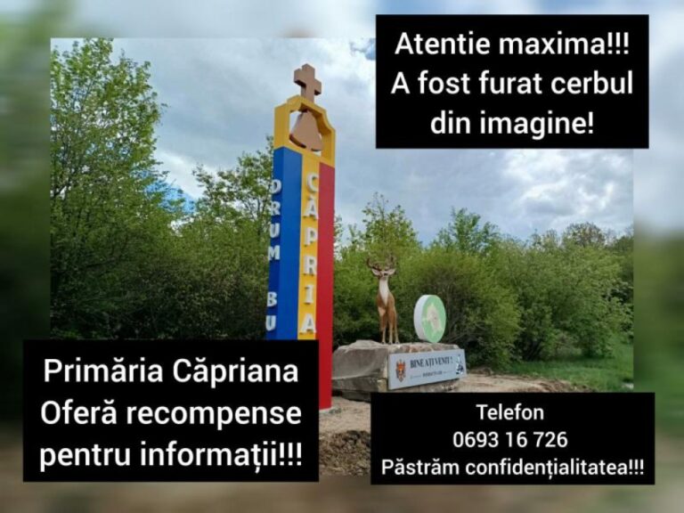 Покушение на помощь молдавской диаспоры