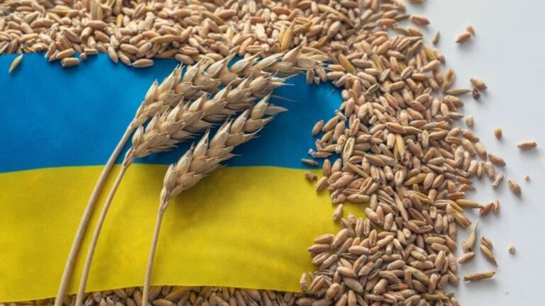 Молдова не будет вводить ограничения на украинское зерно