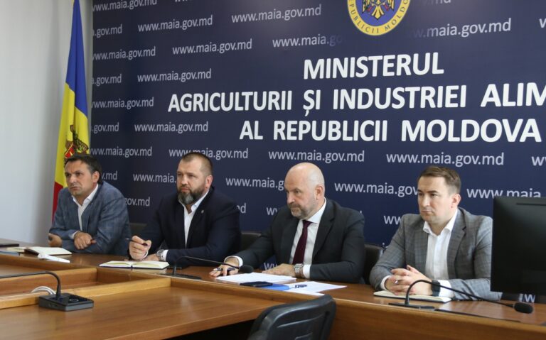 Минсельхоз пообещал разгрузить таможенные посты для экспортного зерна
