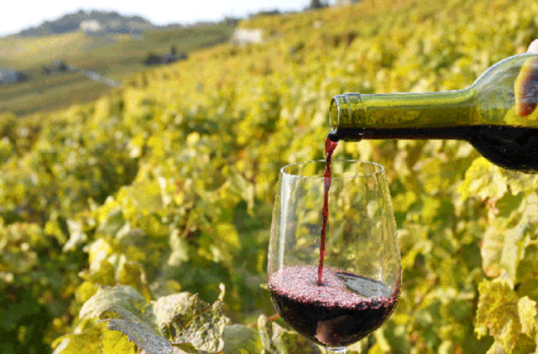 Moldova este unul dintre cei mai mari 20 de producători de vin din lume