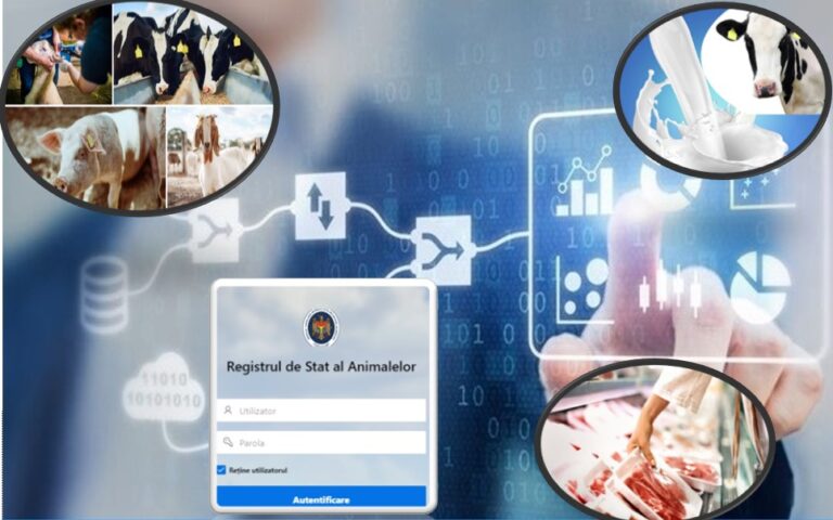 Цифровая продовольственная безопасность