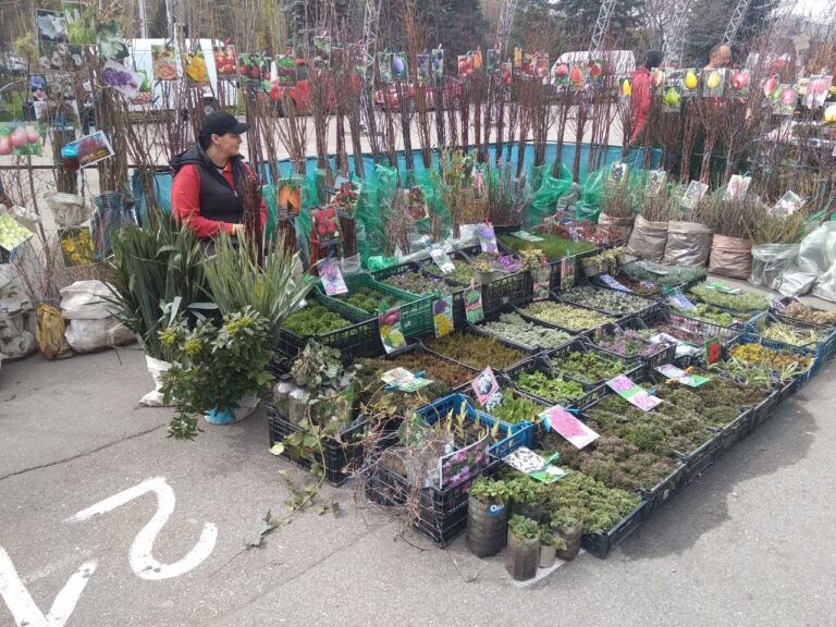 Grădinari și grădinari
