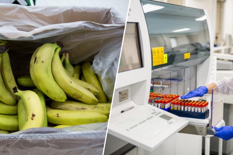 Mai întâi la laborator, apoi la magazin