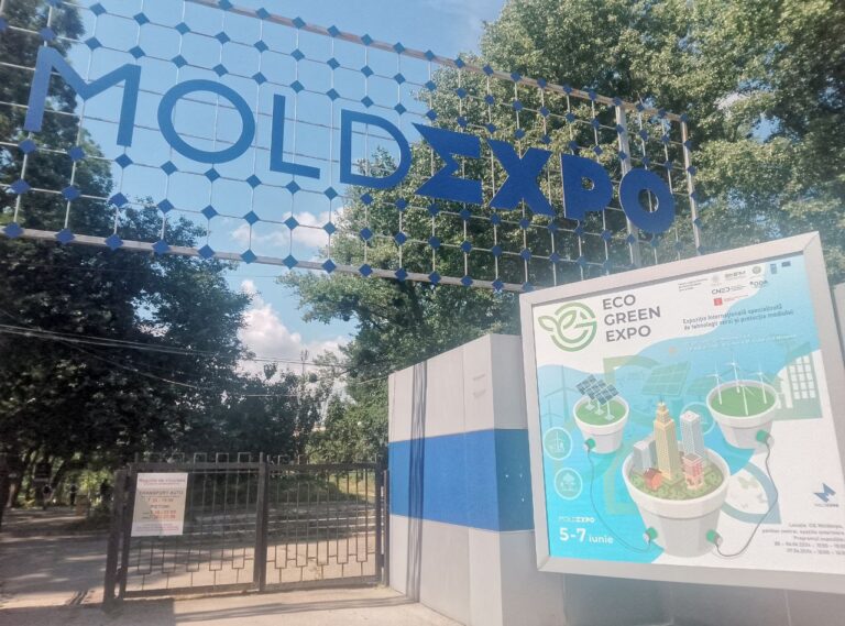 Expoziție verde