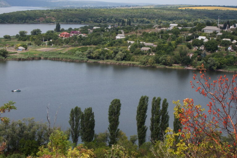 Фруктовые сады на Днестровской Ривьере