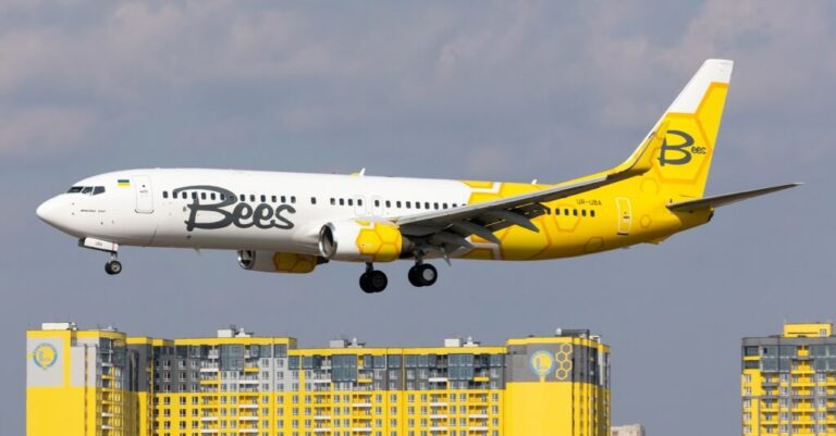 Румынский лоукостер с украинскими корнями