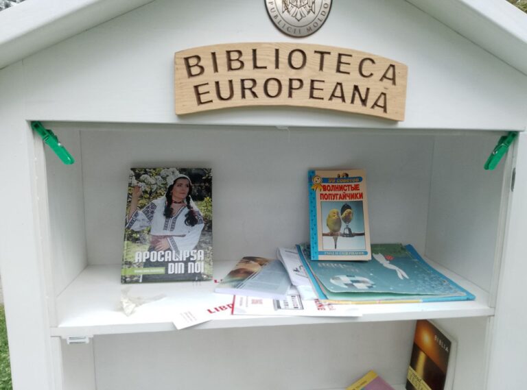 Книжные домики на правительственной лужайке