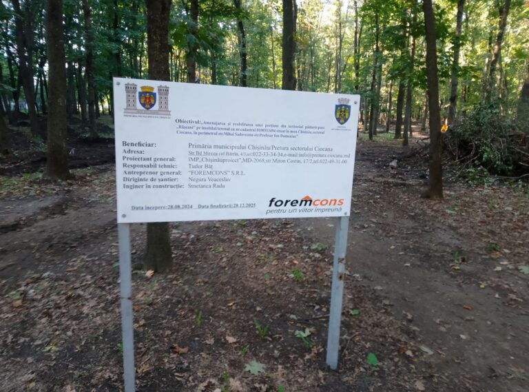 Началось освоение рышкановского лесного массива