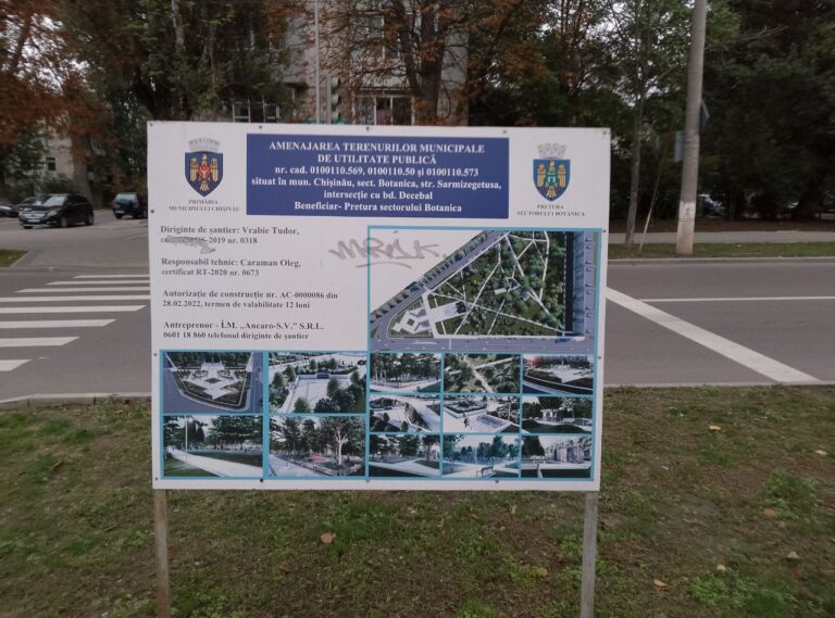 Зазеленела площадь