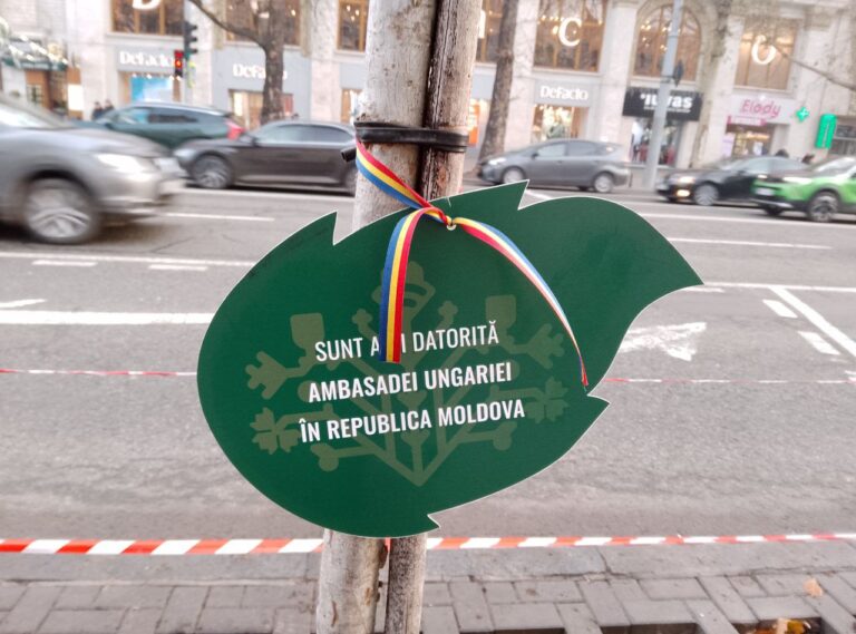 Дипломатичные деревья