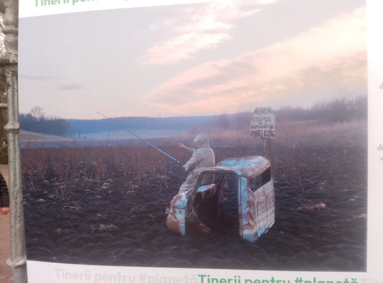 Экологические проблемы перед глазами