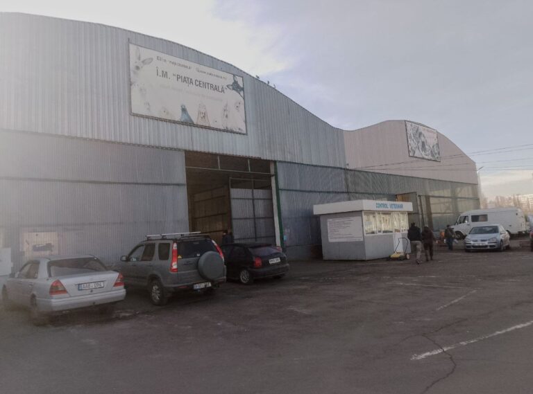 Бутон пока не раскрылся