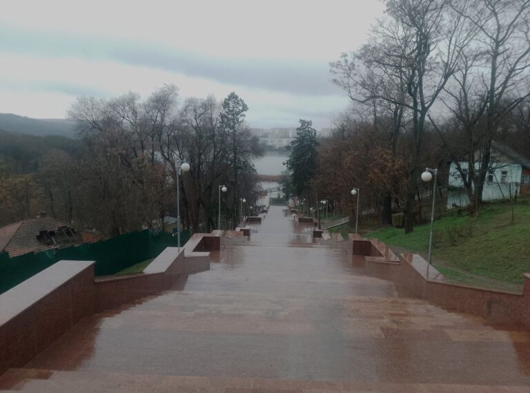 Метка для дерева