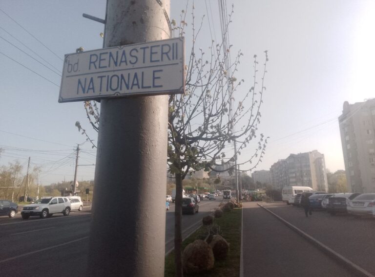 Заменили старые деревья