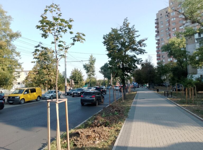 Кленовая улица
