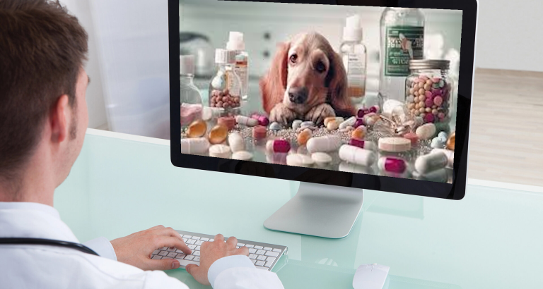 Литовцы помогают Молдове оцифровать оборот лекарств для животных