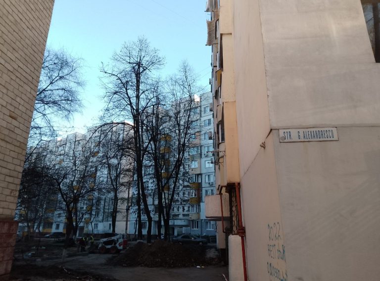 Двор сделают европейским