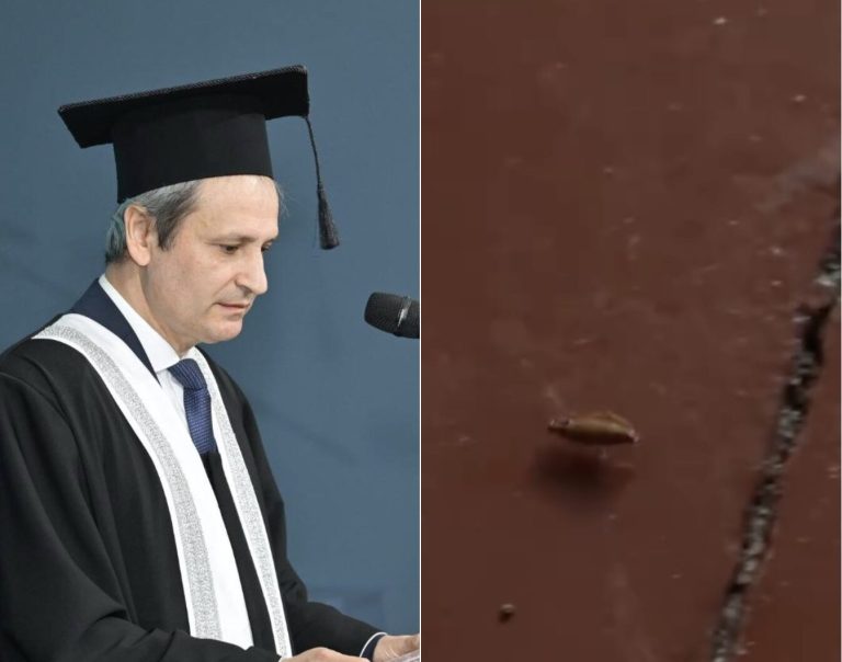 Тараканы против ректора