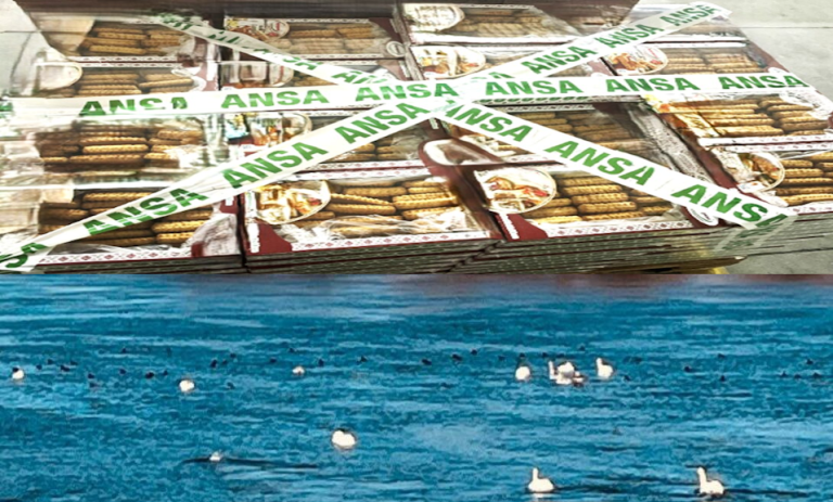 С заботой о водоплавающих