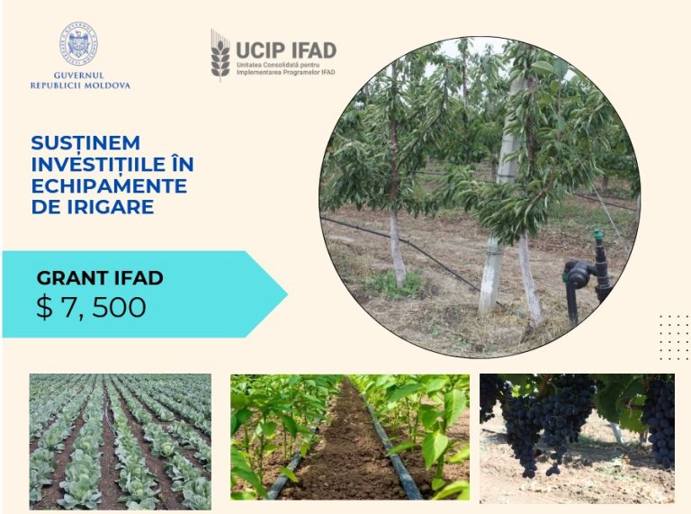 Granturi pentru atenuarea schimbărilor climatice