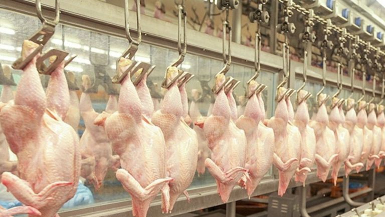 Pasărea ucraineană intenționează să se întoarcă în Moldova