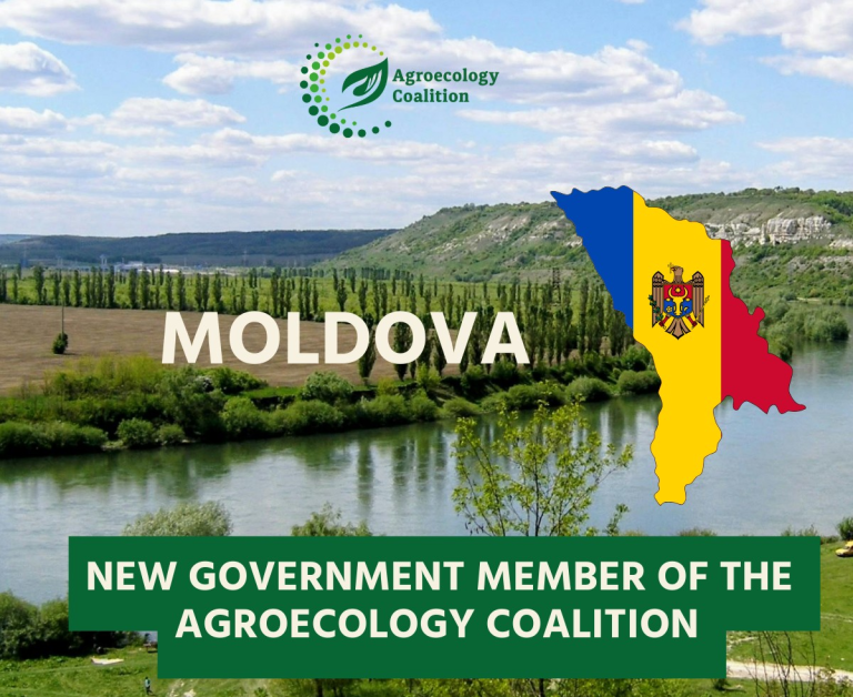 Молдавское сельское хозяйство обещают сделать экологичным