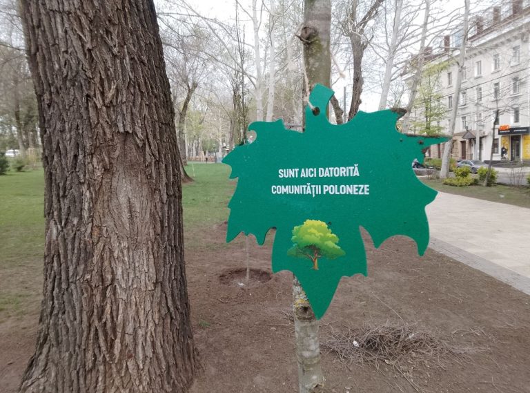 Аллея дружбы