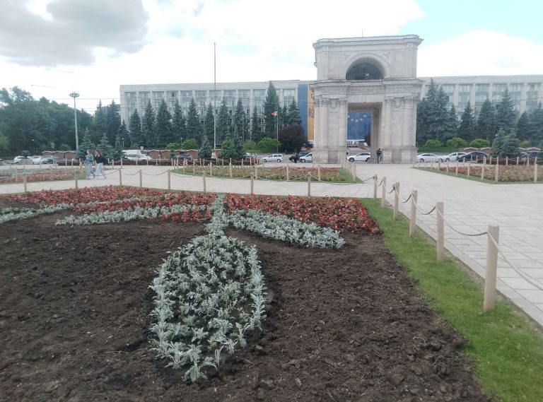 Un pătrat în flori