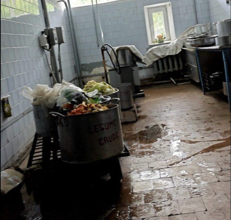 Cum să faci o intoxicație alimentară în Moldova